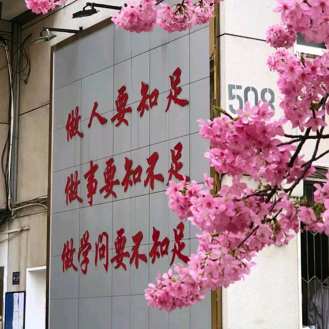 阳阳的数学天地