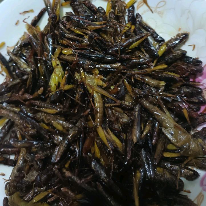 吃菜要吃野生的