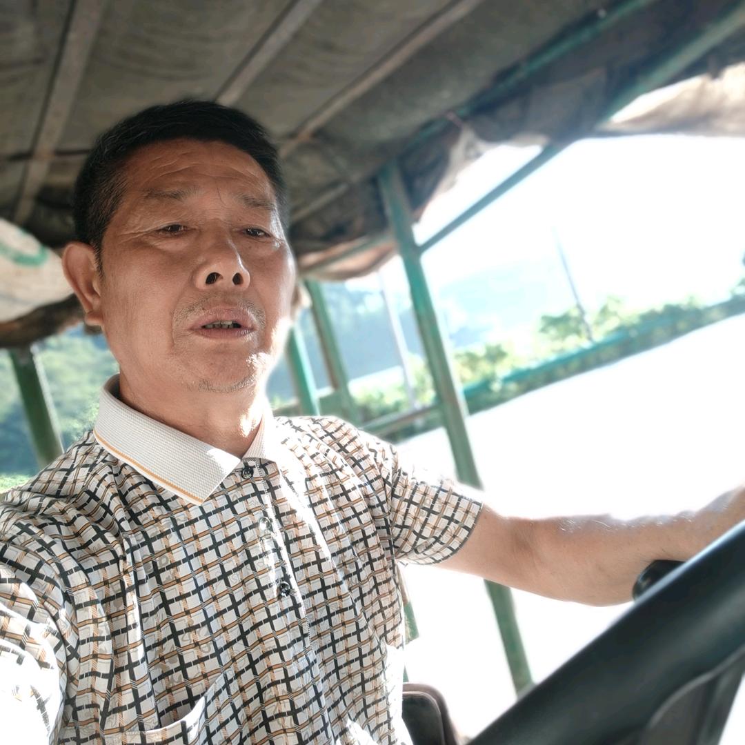 陈泽云
