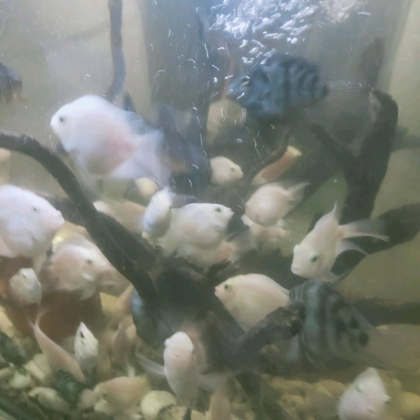 多年以后的日子