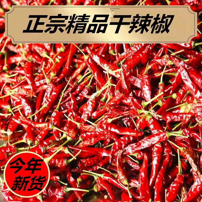 自由浪漫