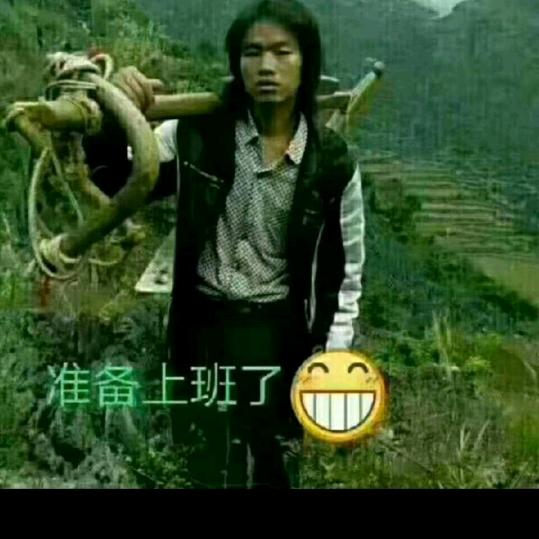 不必委屈爱自有天意🌴