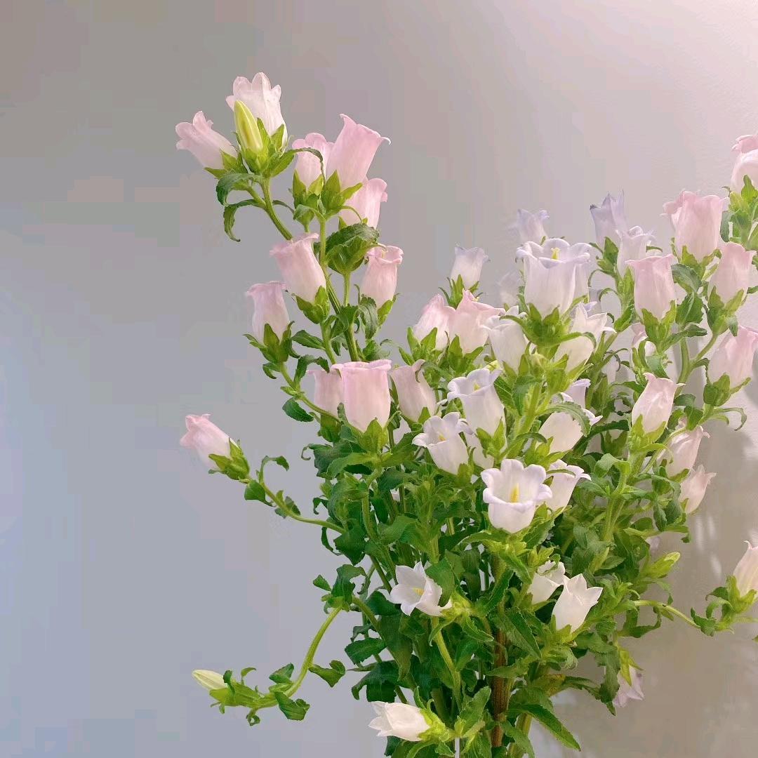 用户21676008945