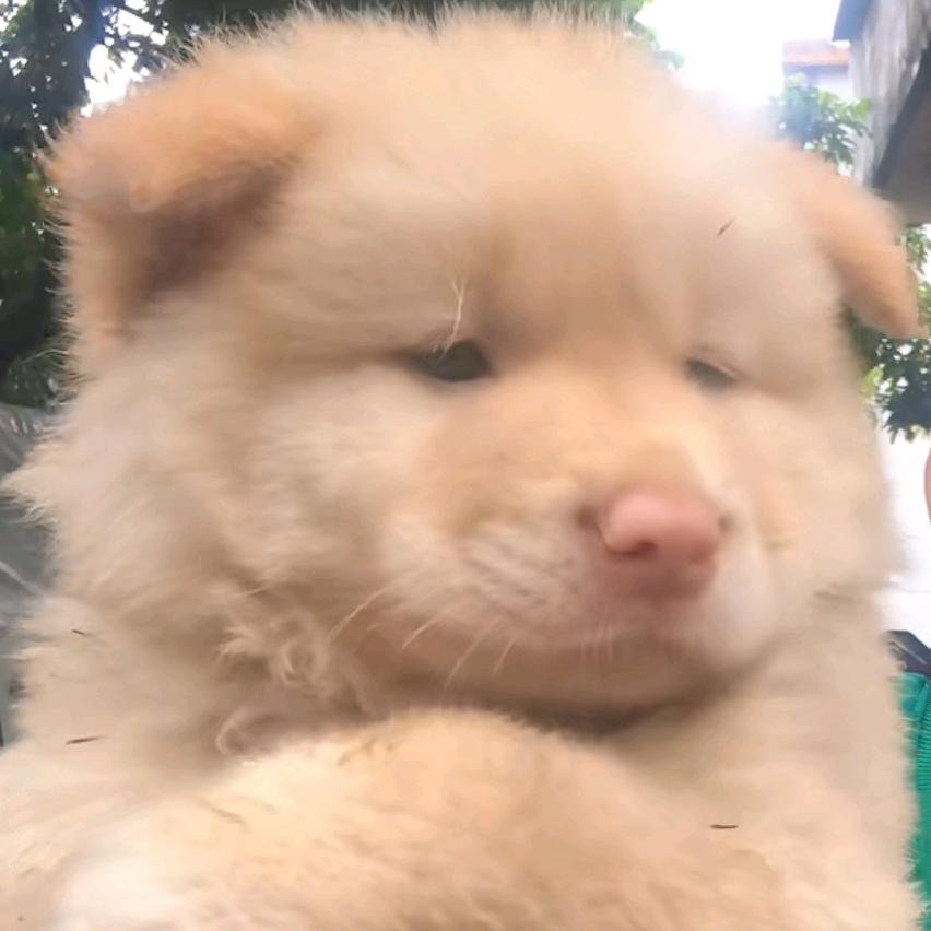 覃昭然(✧∇✧)