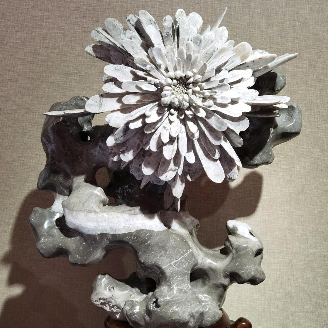 湖南宏丰天然菊花石