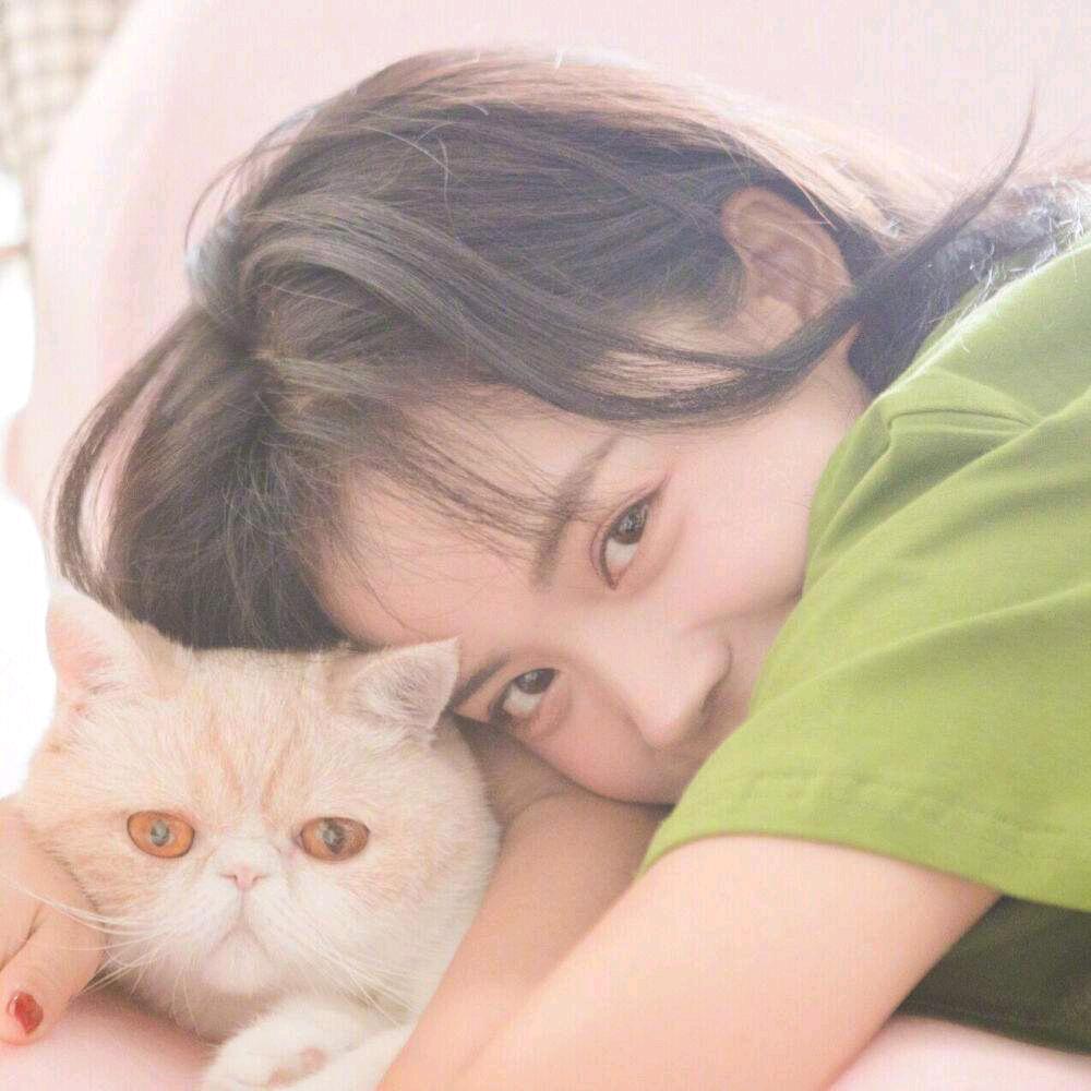 ^♪(´ε｀ )忘事撩人☆彡