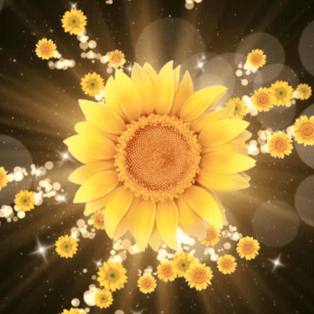 青芒果