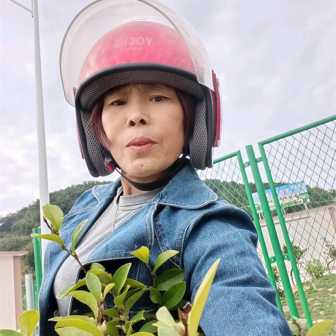 静英