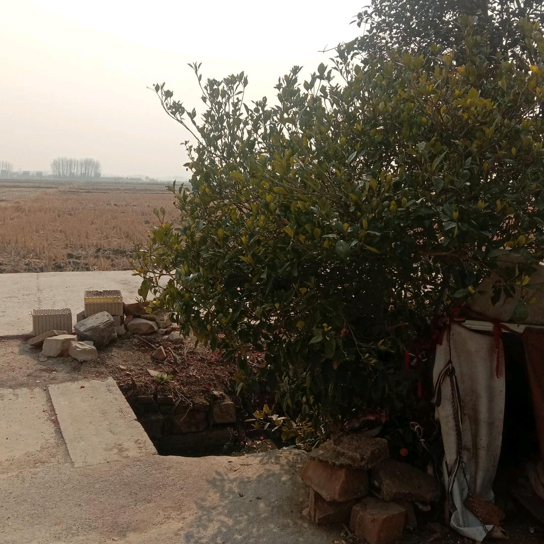 袖与我们同在