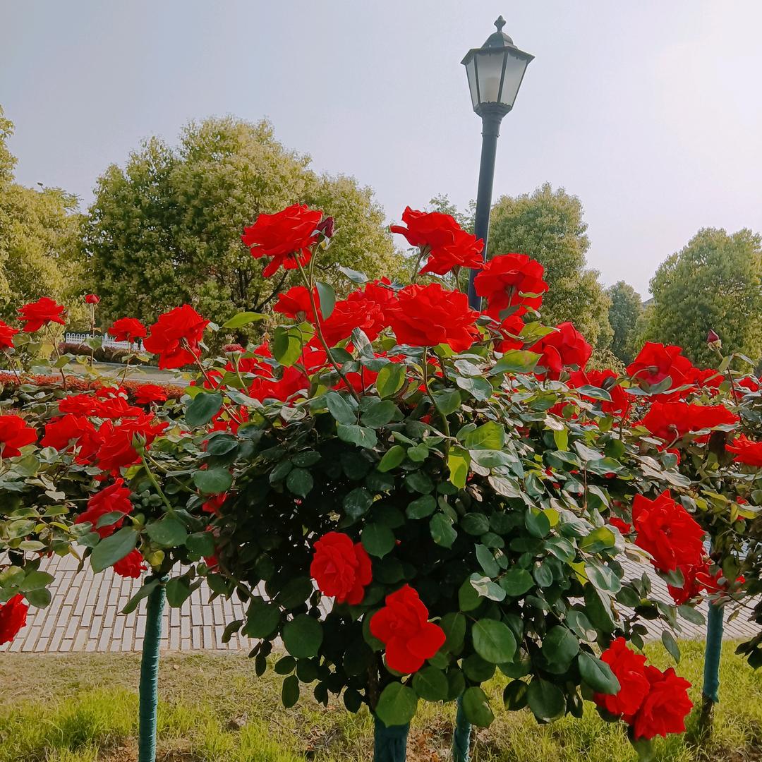 专业防水，滴水不漏，天地无忧