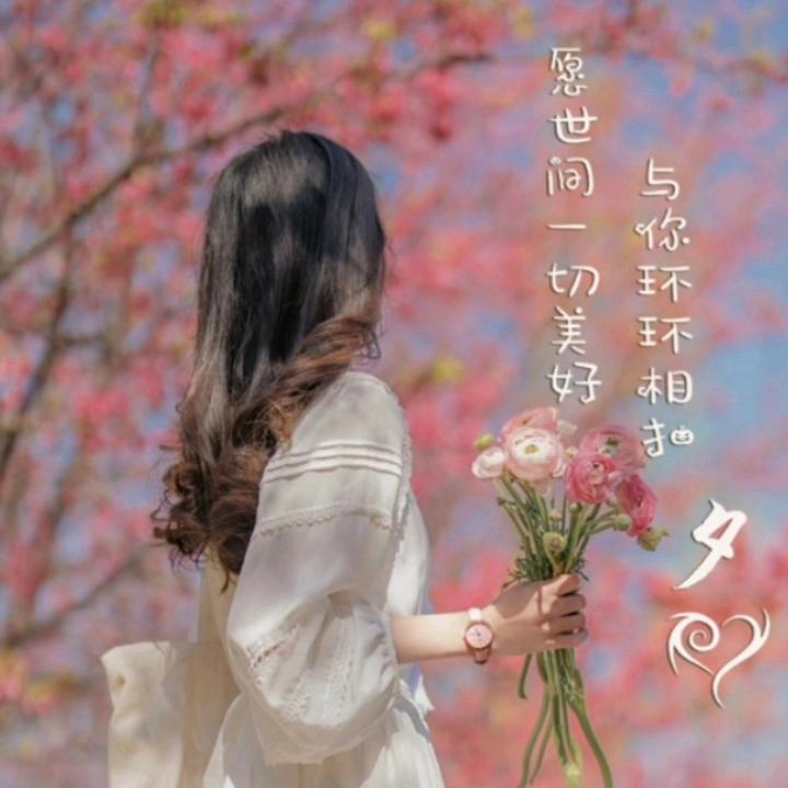 AA锦上添花