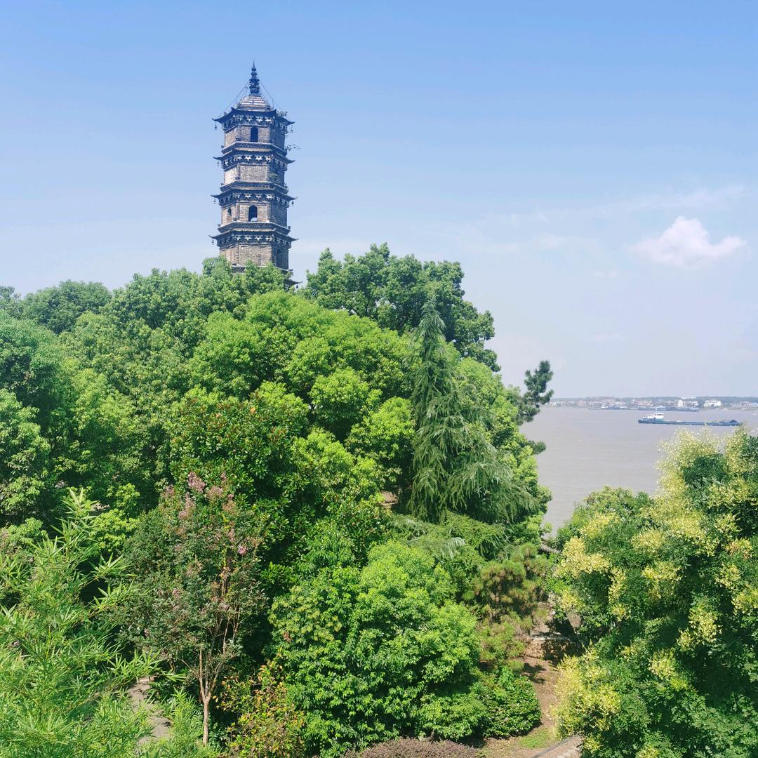 鱼笼子