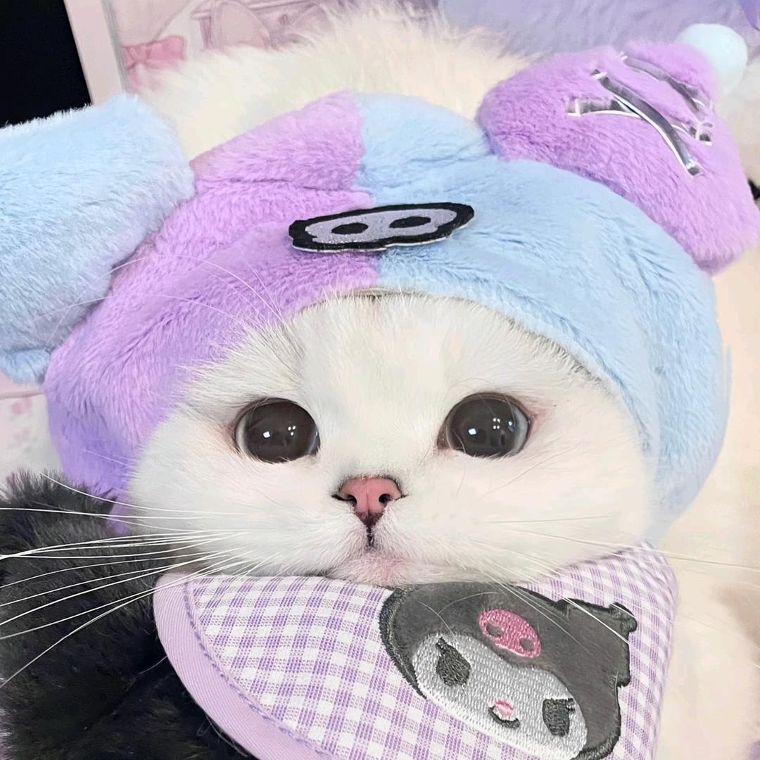 Livia淌氺头像