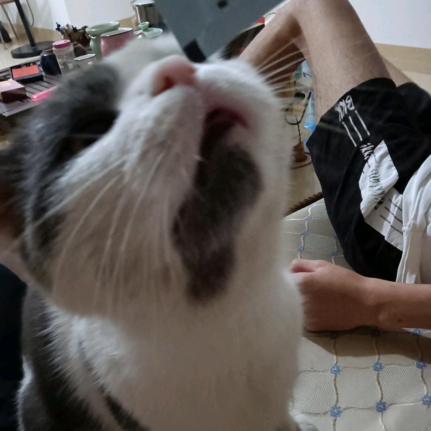 相识恨晚