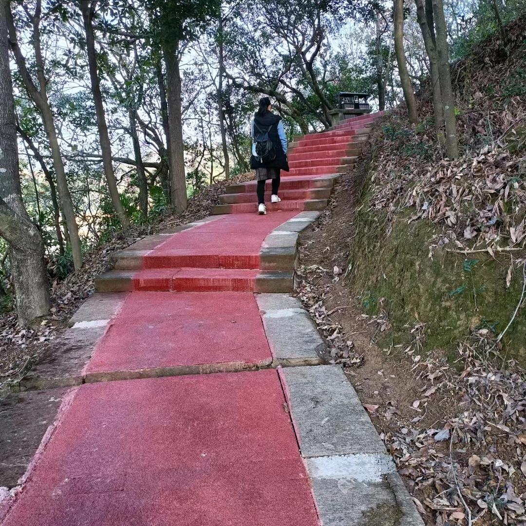 欣欣向荣