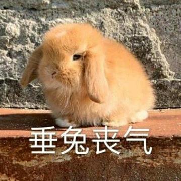 蜜糖煮雪