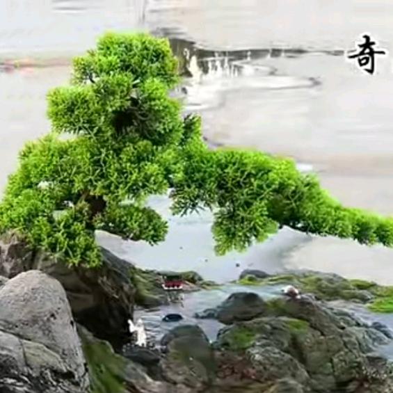星空下