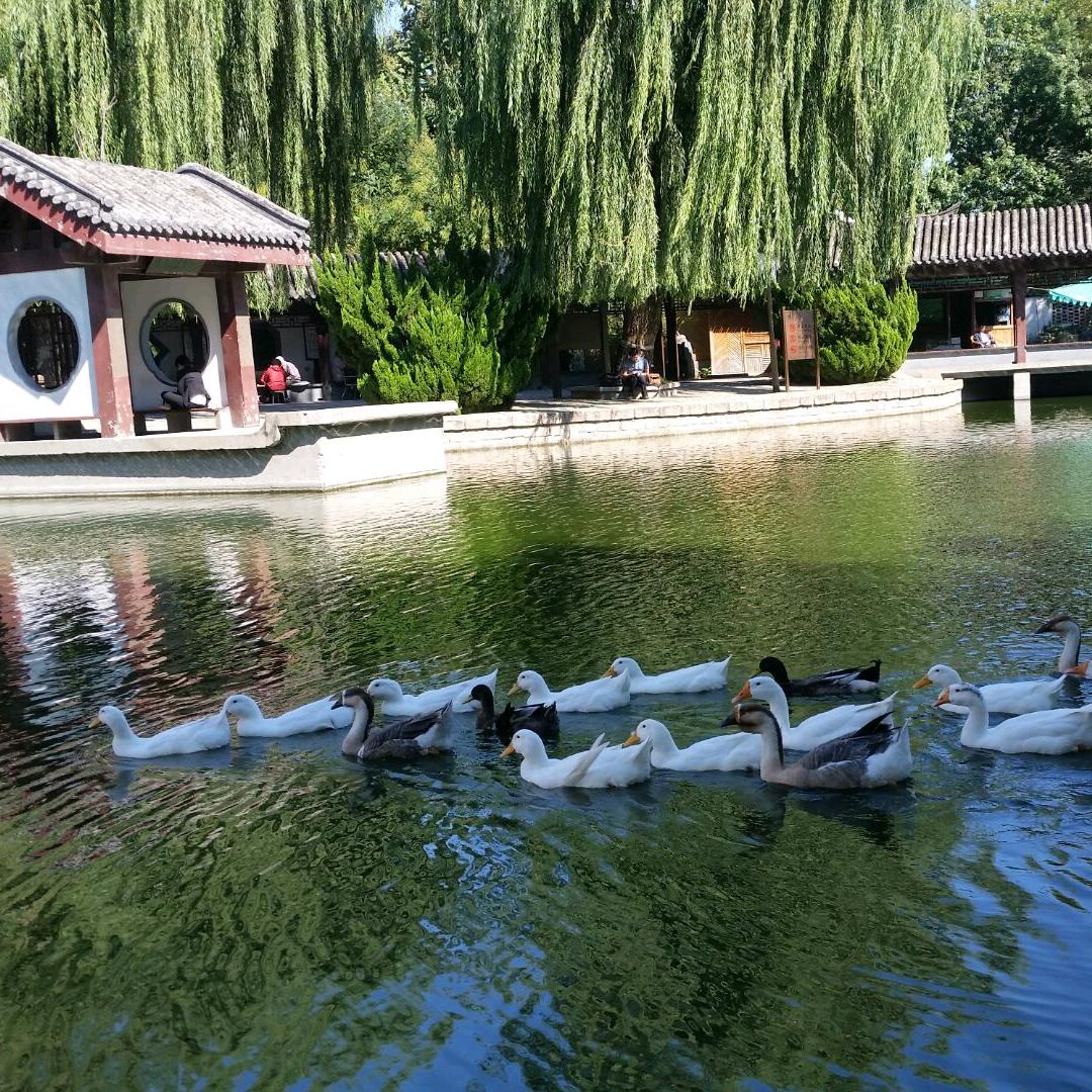 接受现实