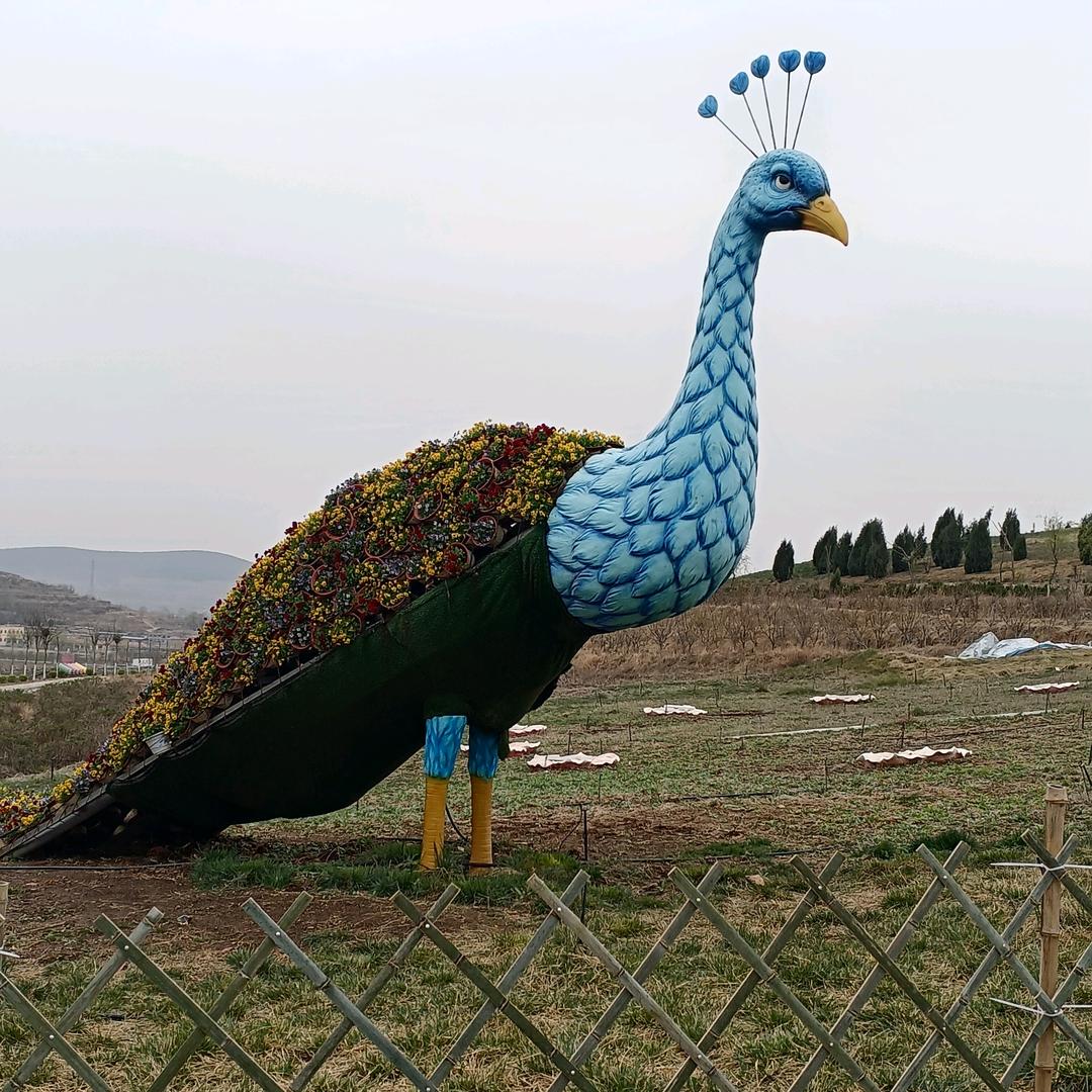 用户7010978890056一生有你