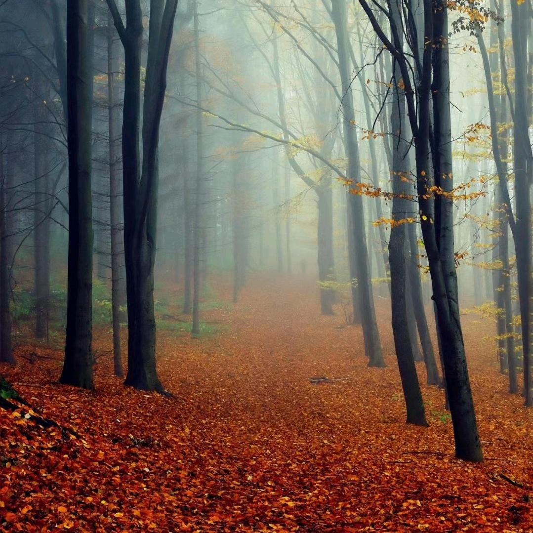 ٩(๑•̀ω•́๑)۶