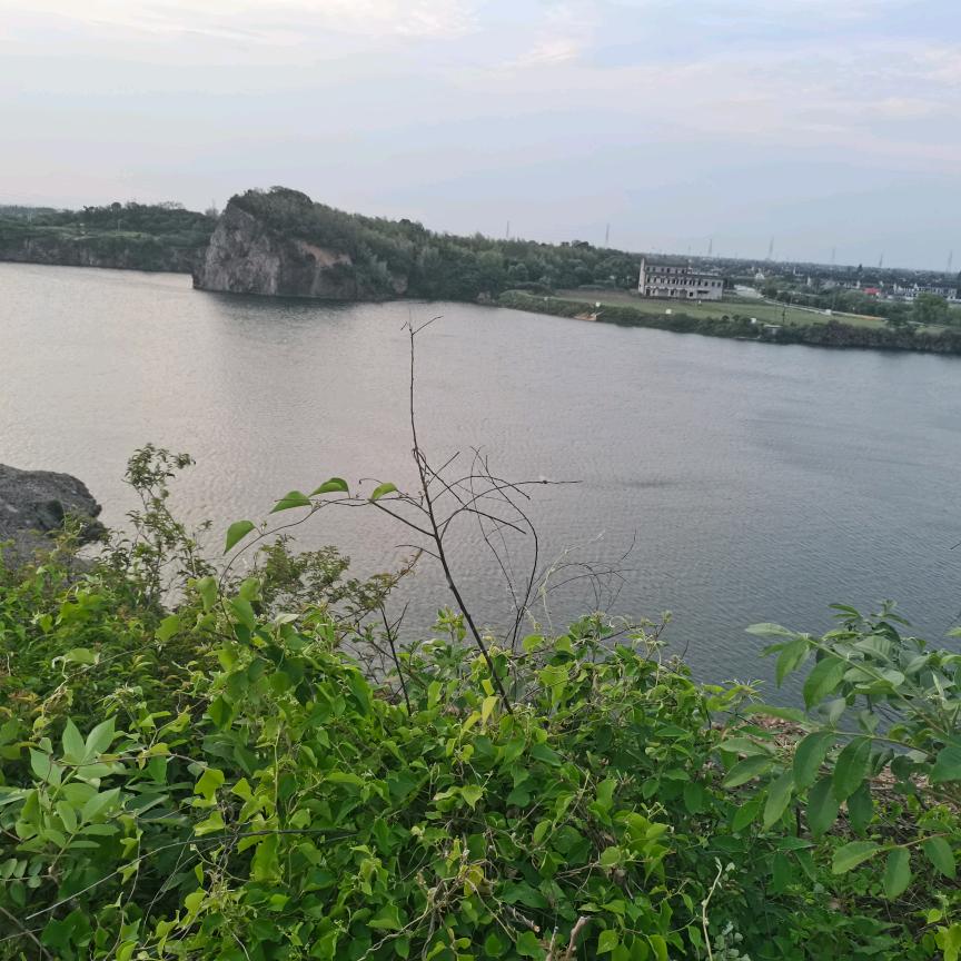 流清