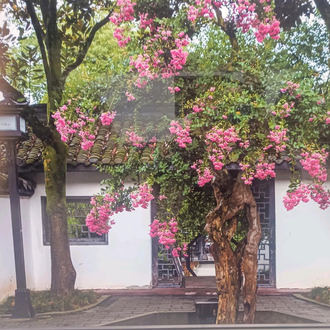 为明天努力