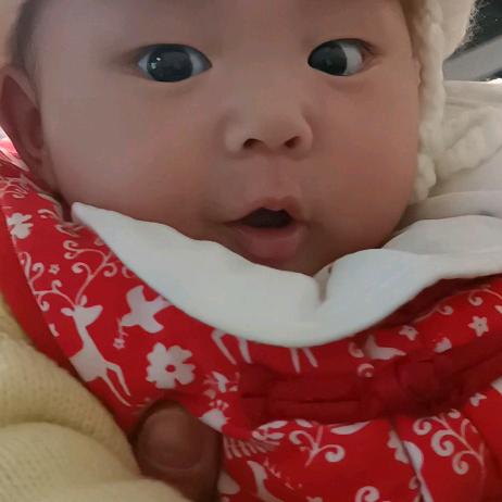 瞿老大aa七零🐶