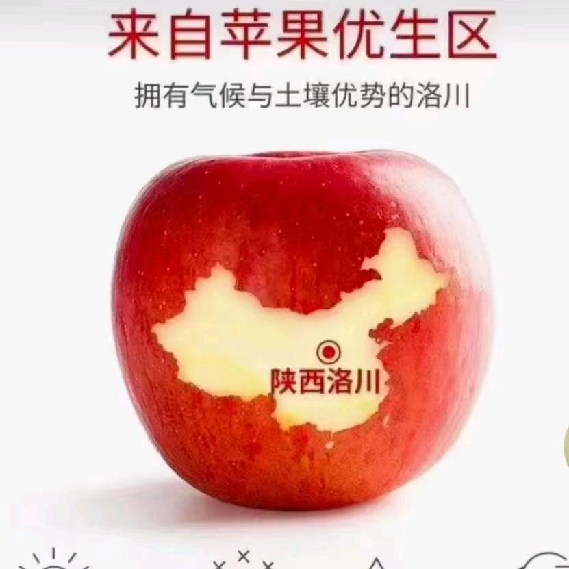 毛哥