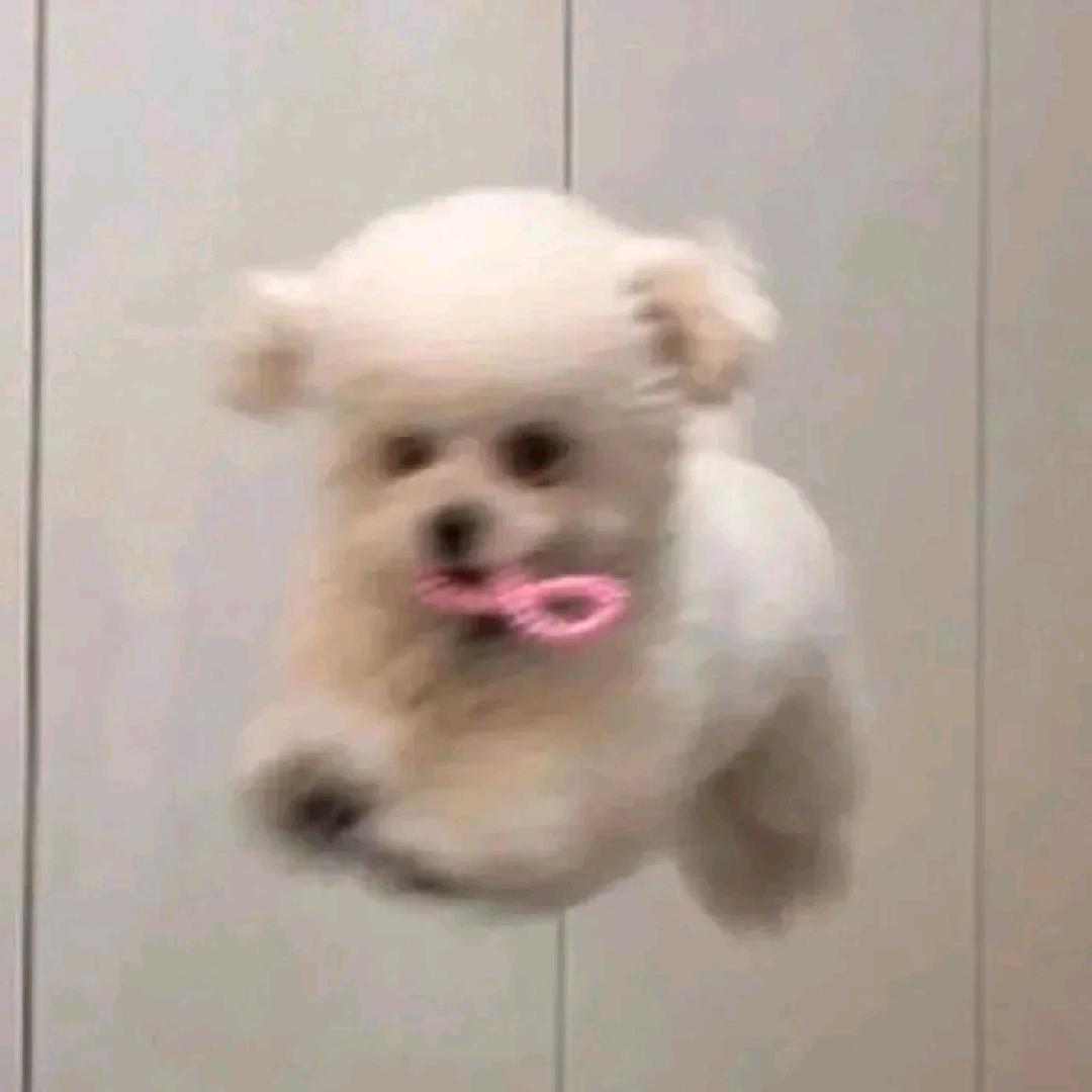 想吃冰淇淋