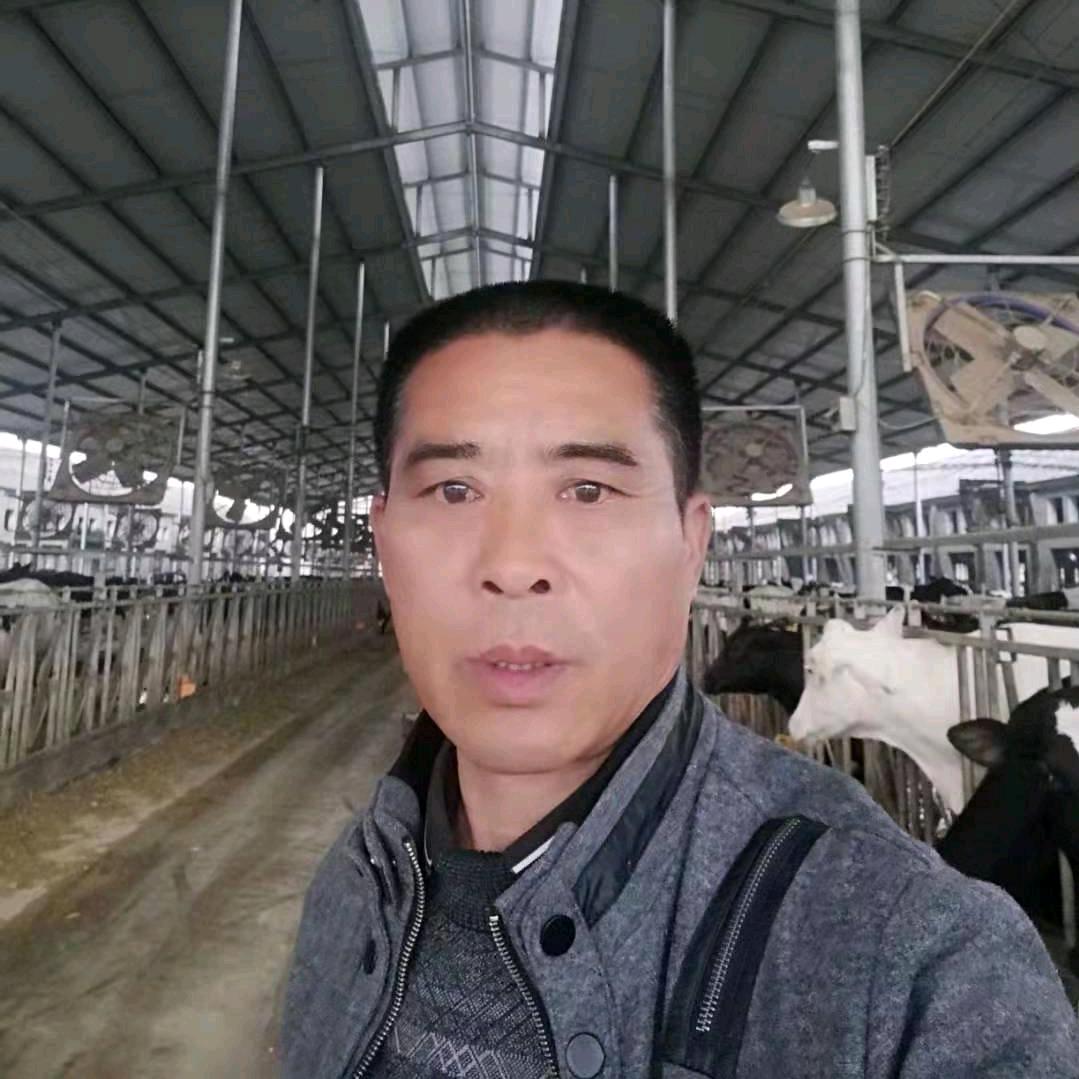 皖北牛人；宿洲市鑫牛养殖专业合作社