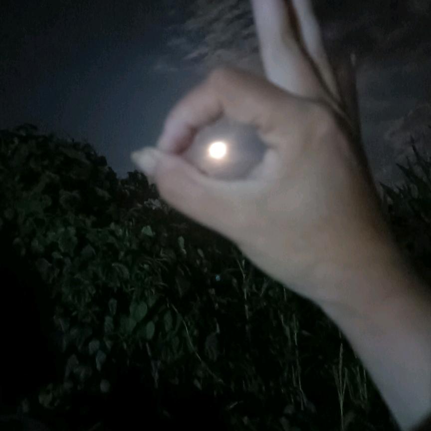 景福网约车罗廷强