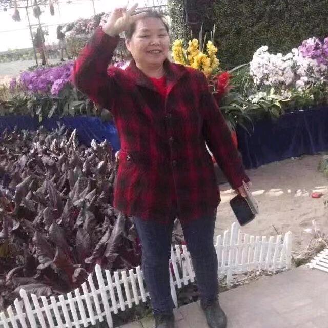 卢大姐