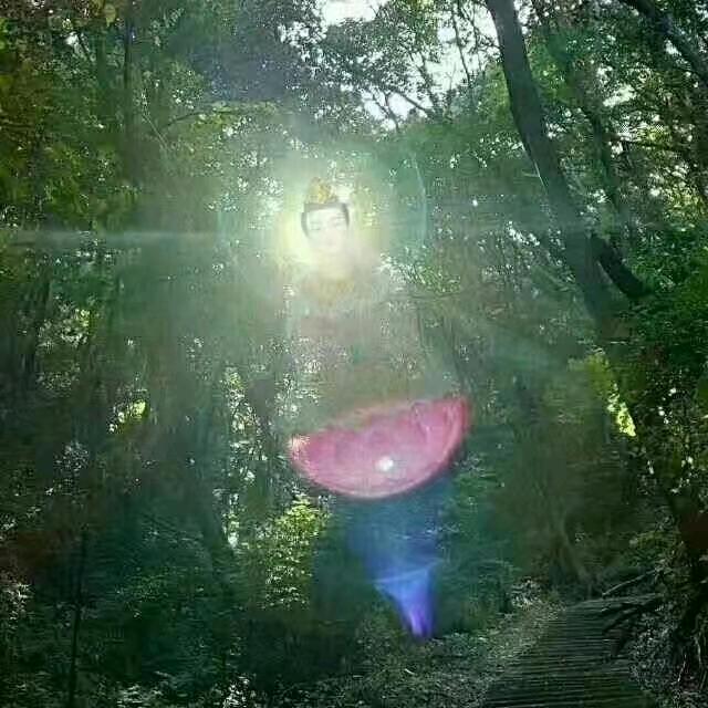 果离
