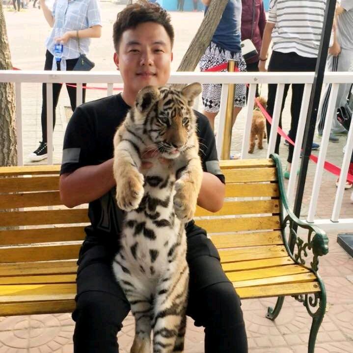 ༺磊ྀ༻¥¥¥¥¥¥