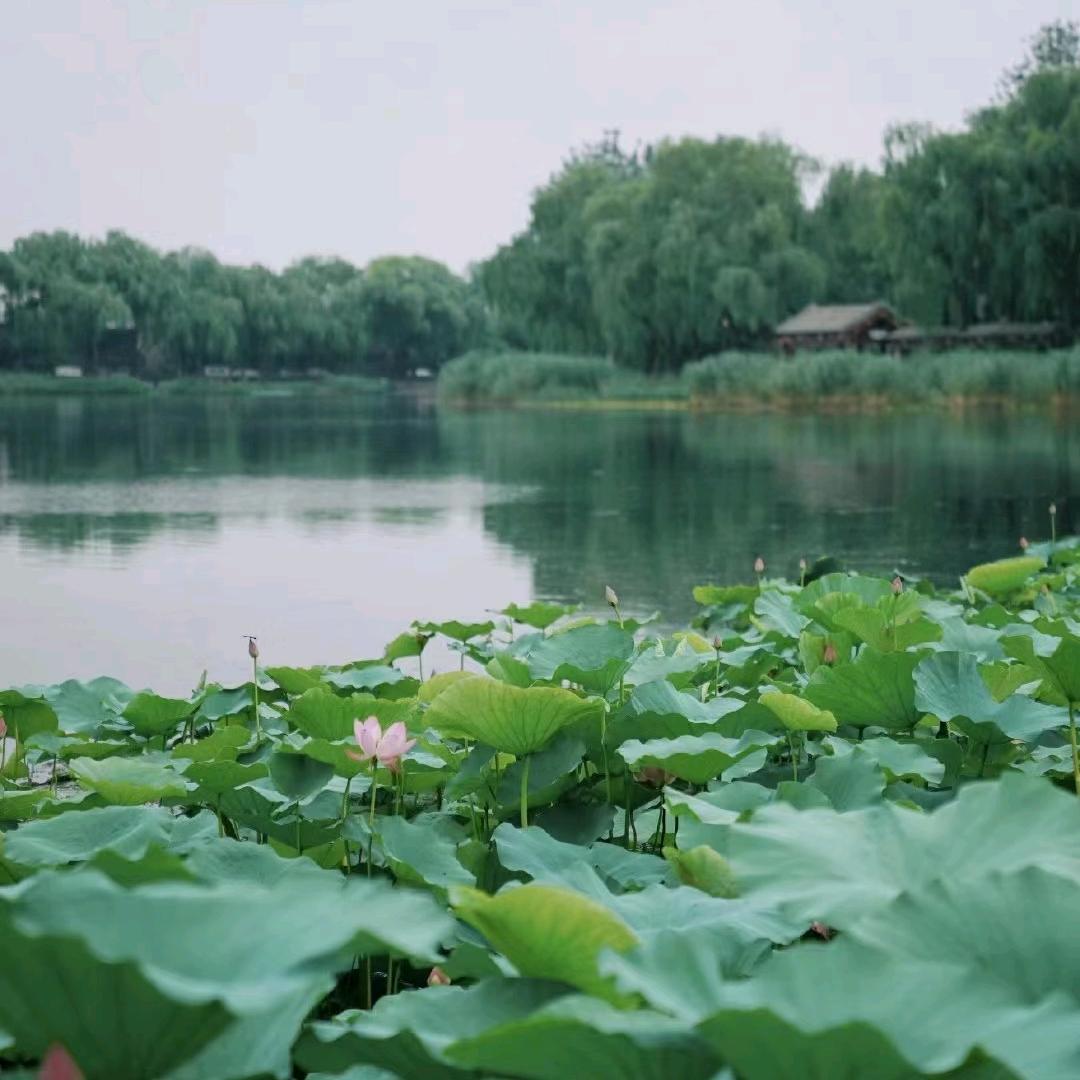 温柔待人生，李