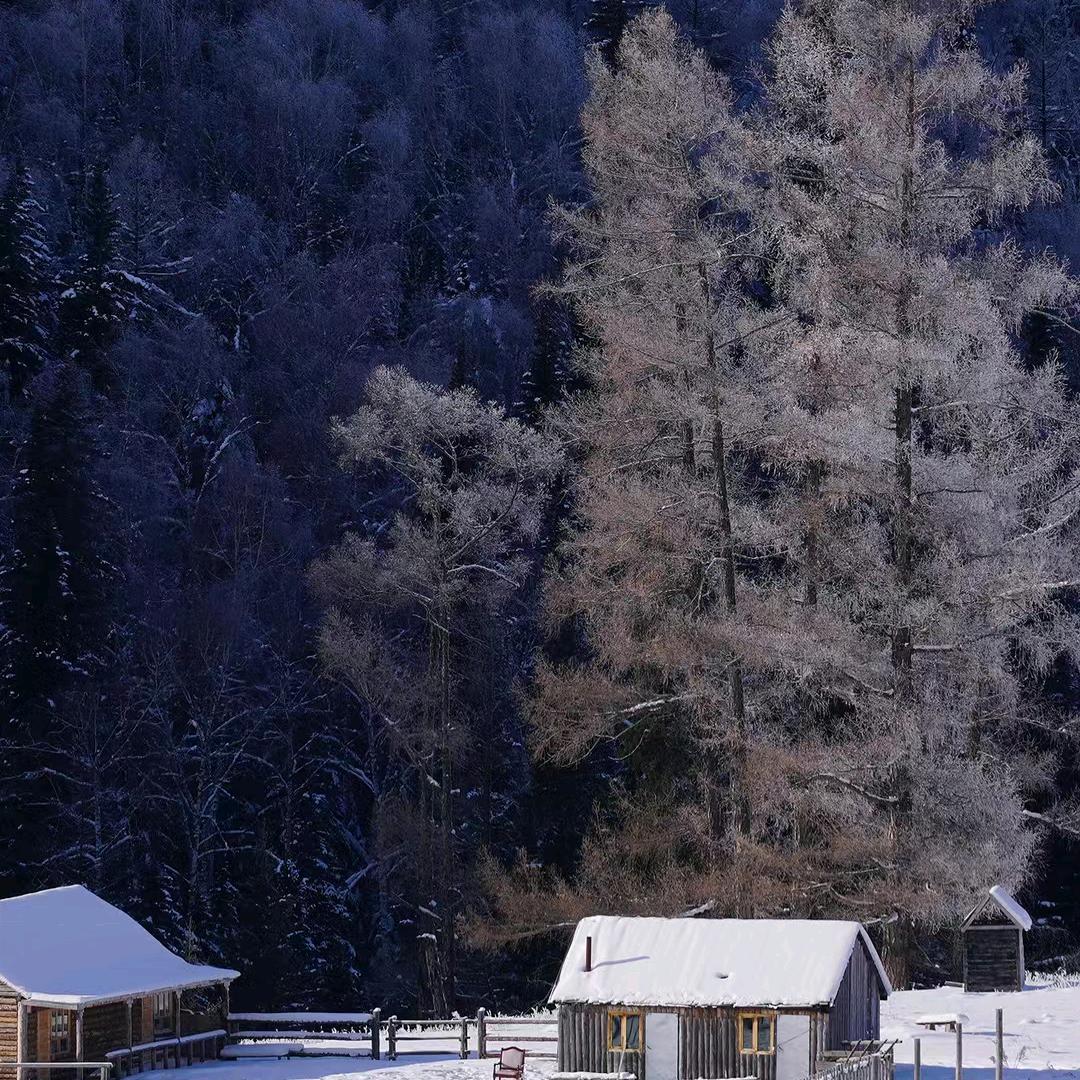 大灰心里有个梦
