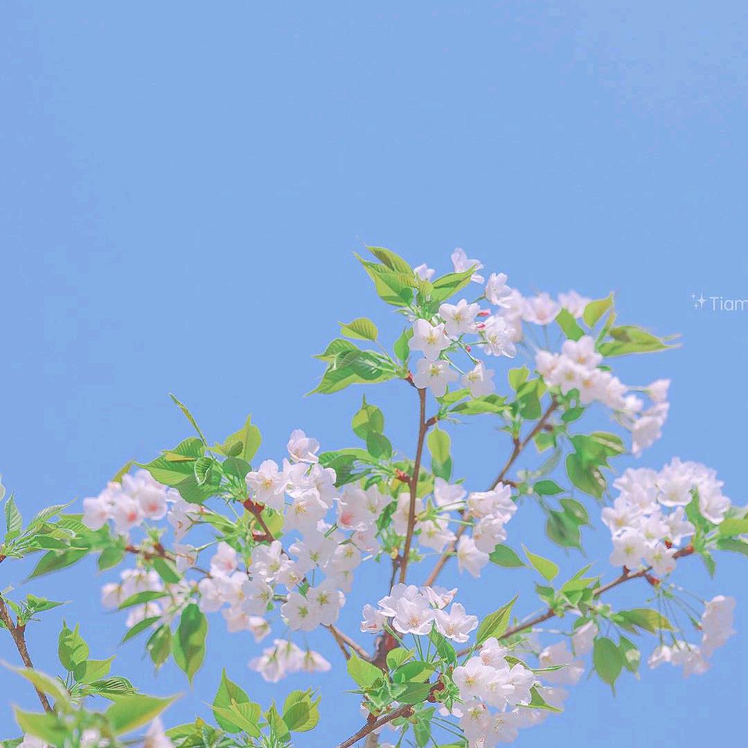 💋初心🕊꧔ꦿ᭄💞)