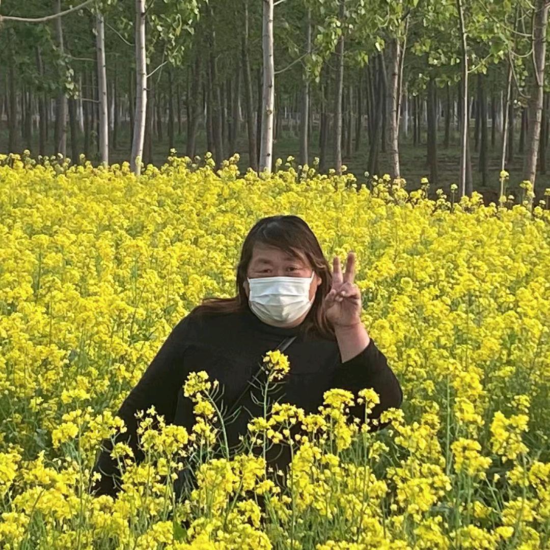 岁月匆匆：