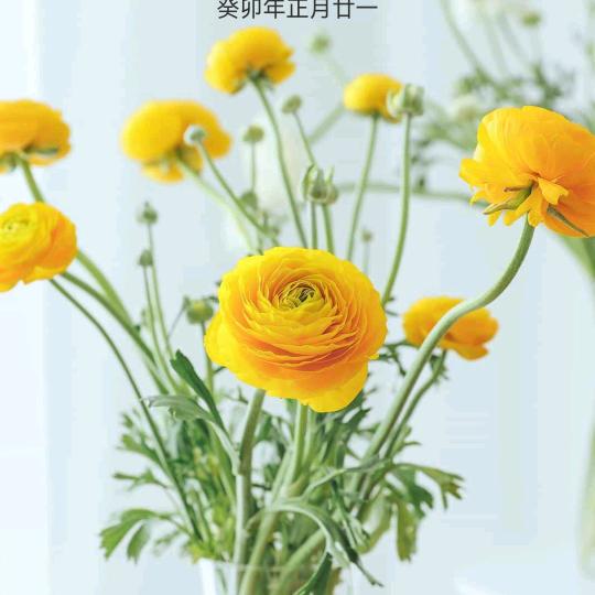 美美美滴