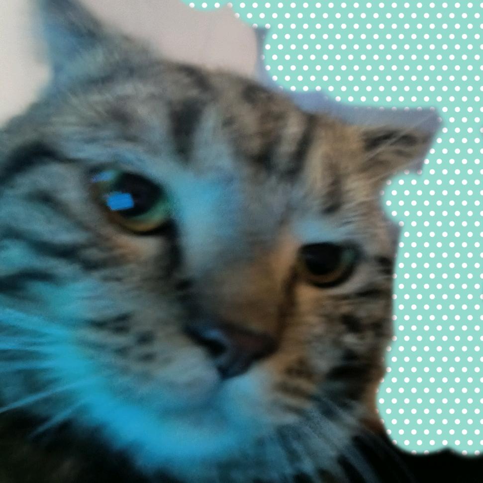 DDDDDX的键盘