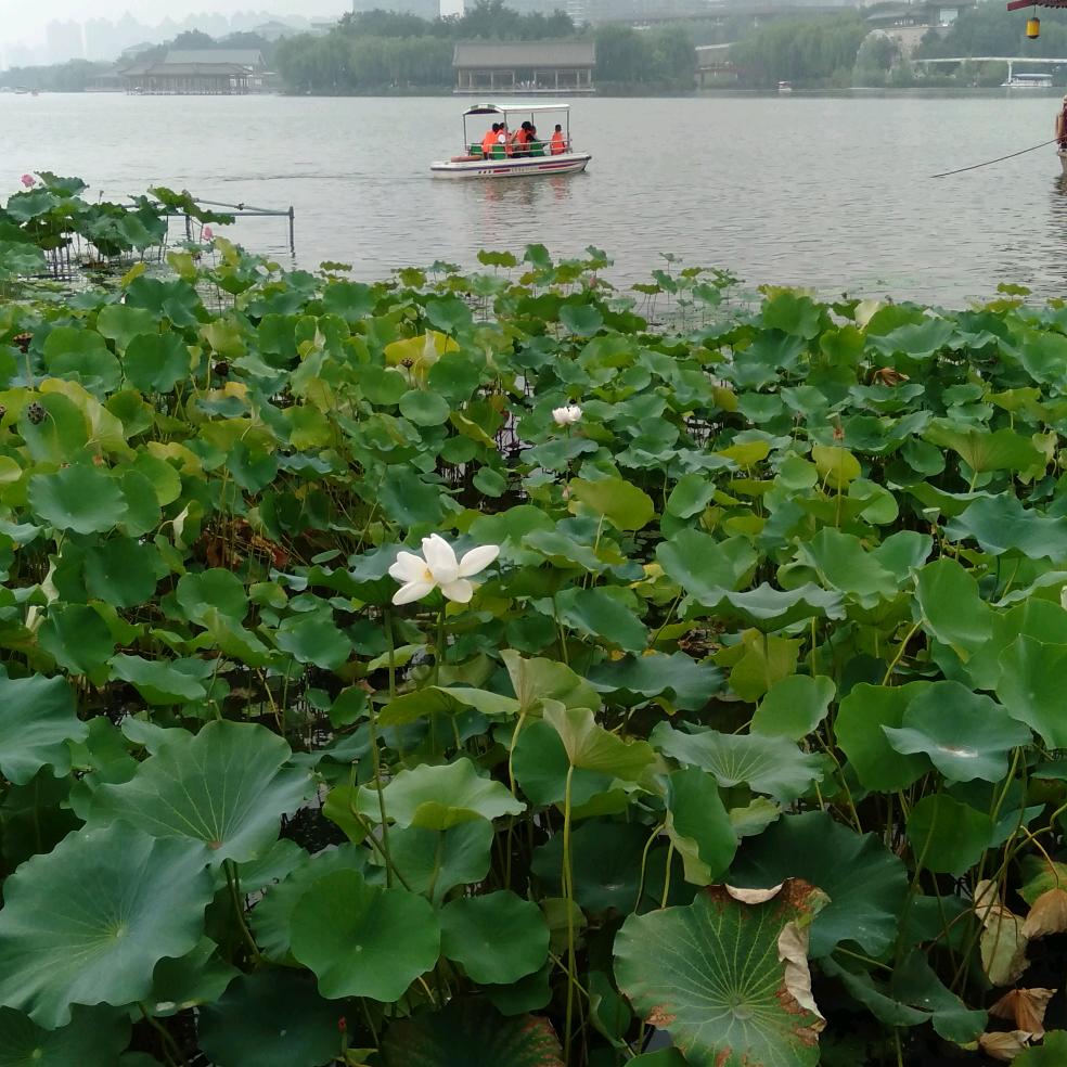 爱，请止步