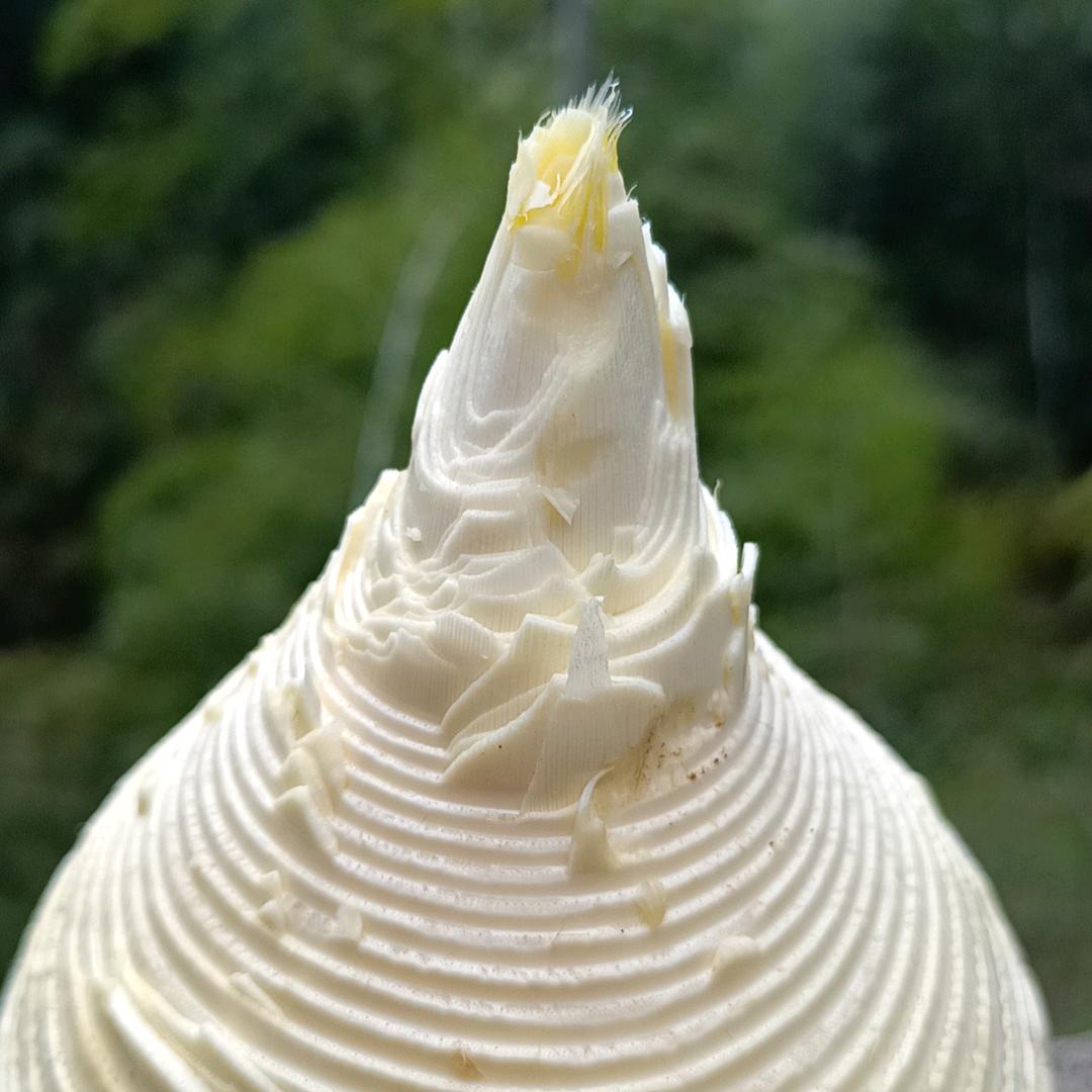 用户4071242596002燕子飞