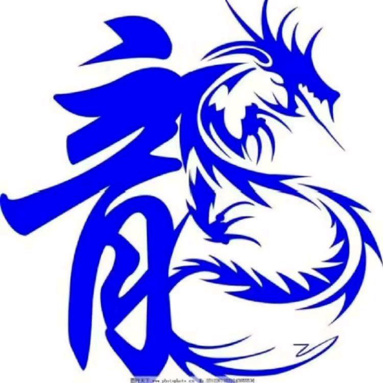 双龙水电暖锅炉