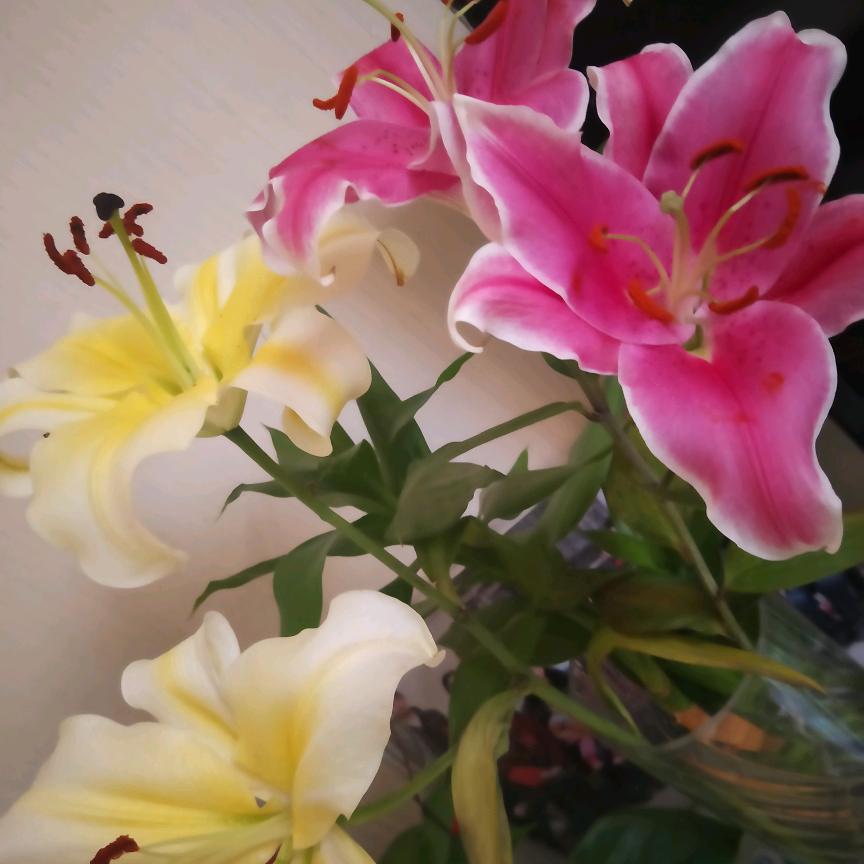 平平淡淡👌🌹