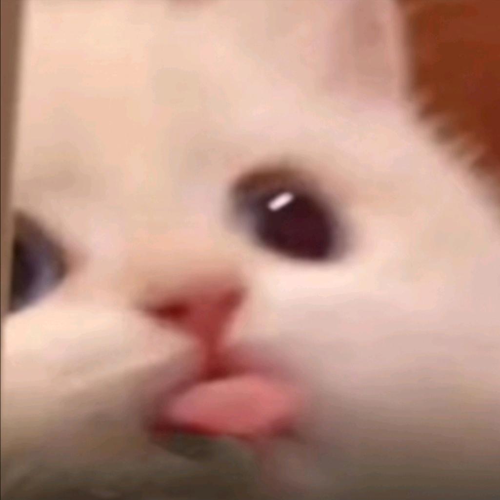 喜杨阳😎
