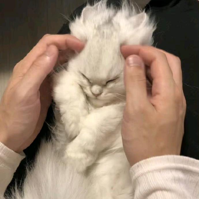 哥斯拉软膏