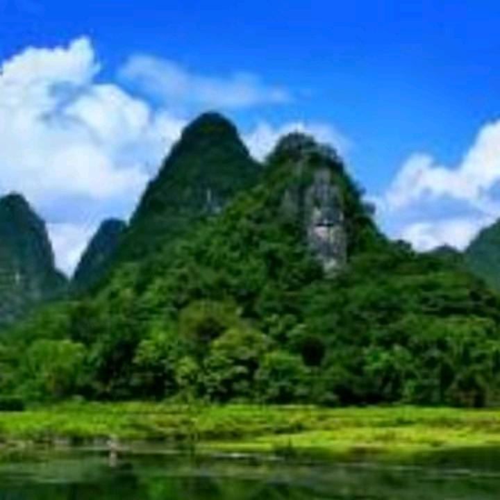 春意盎然