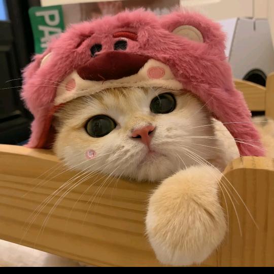 顺顺