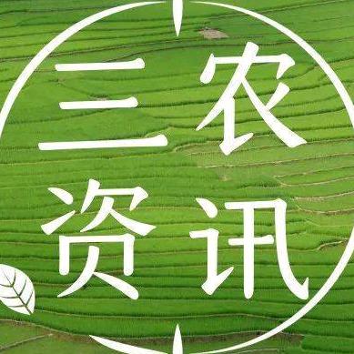 亿佳饲料助力三农养殖