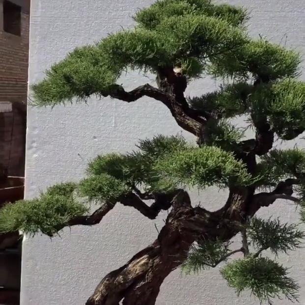 有勇气就会有奇迹哦